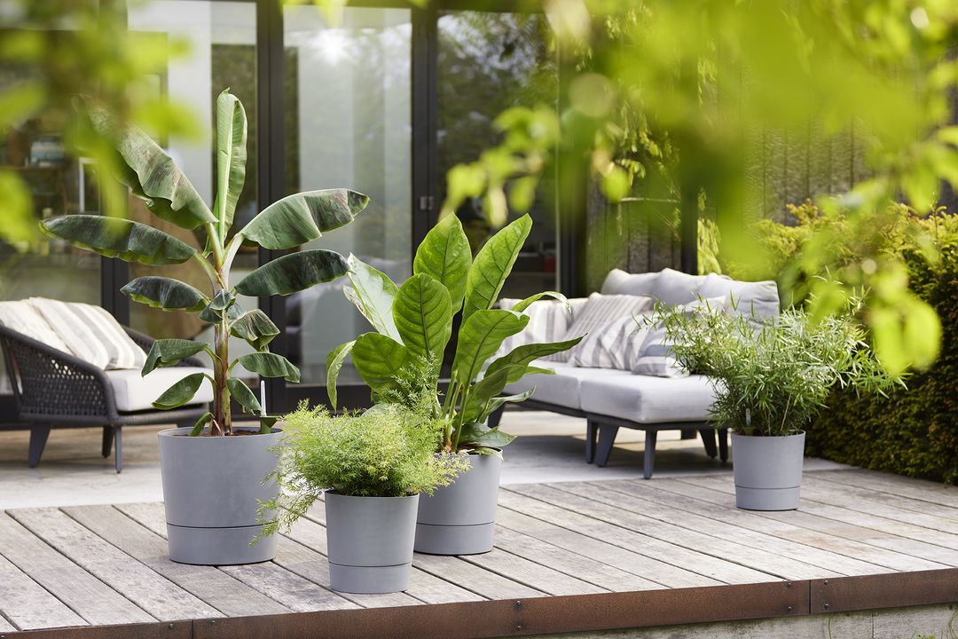 greensense aqua care round2