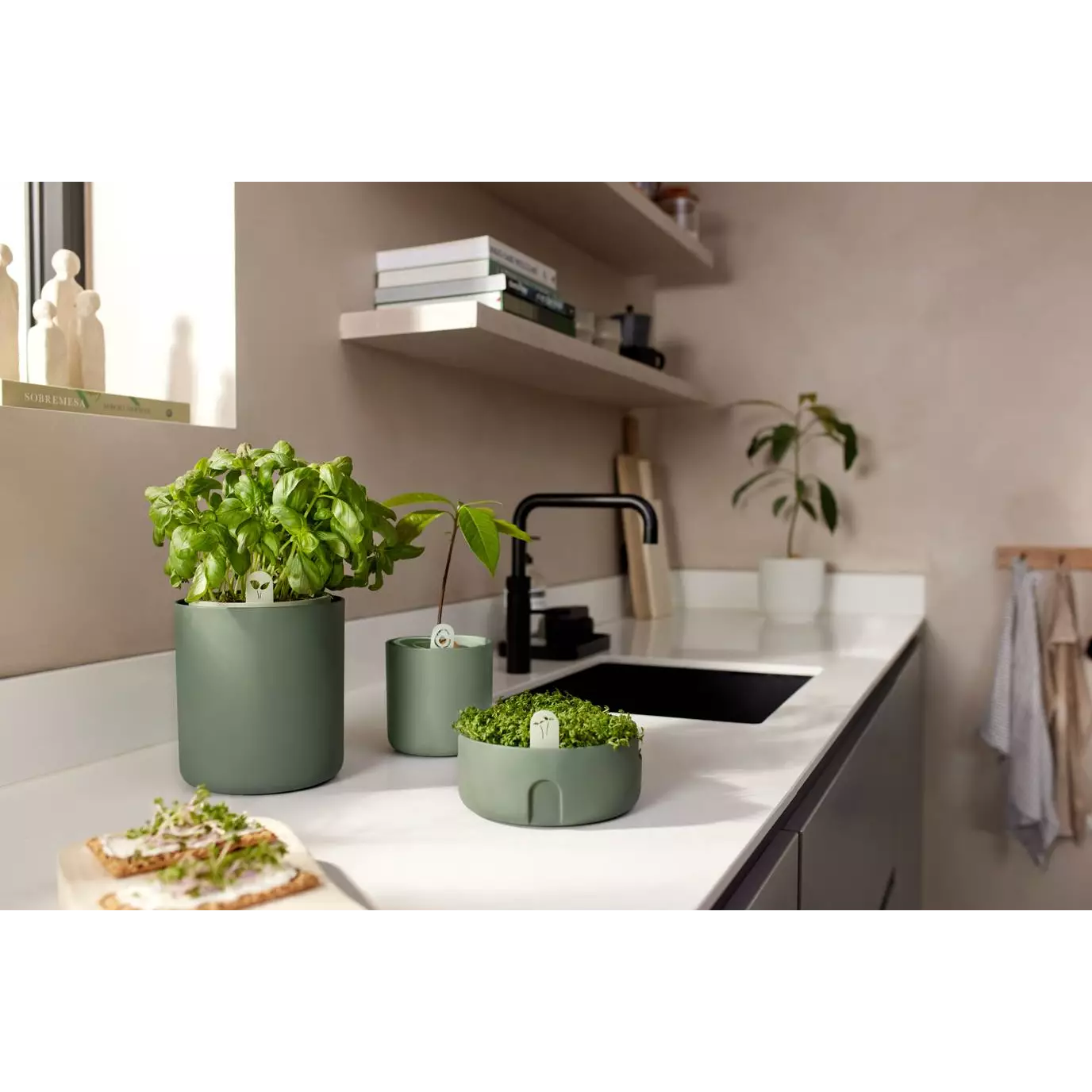 gyo_indoor_leaf_green.i1