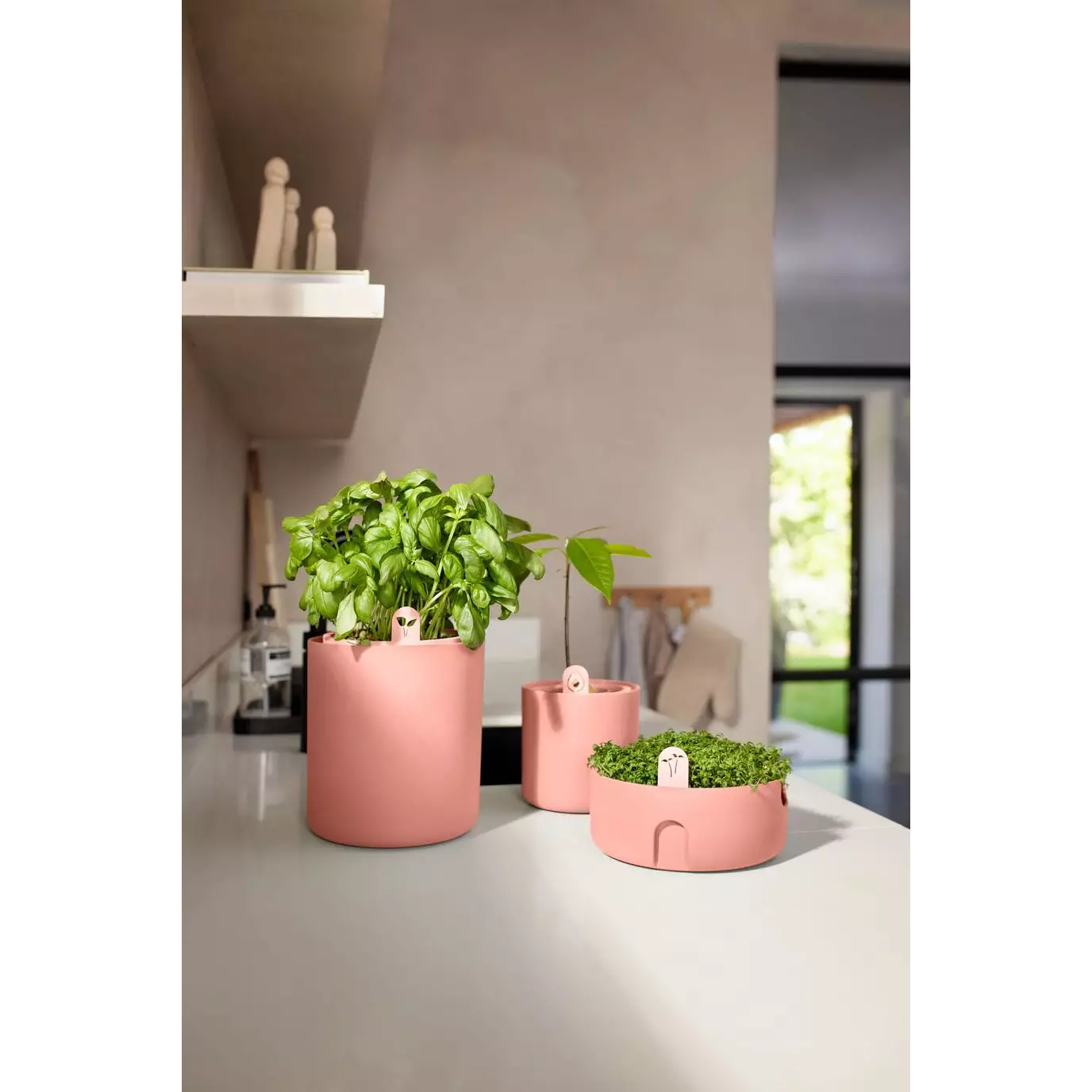 gyo_indoor_toffee_terra.i1