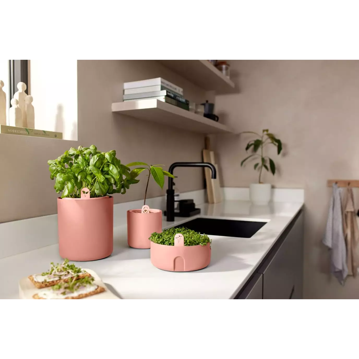 gyo_indoor_toffee_terra.i2