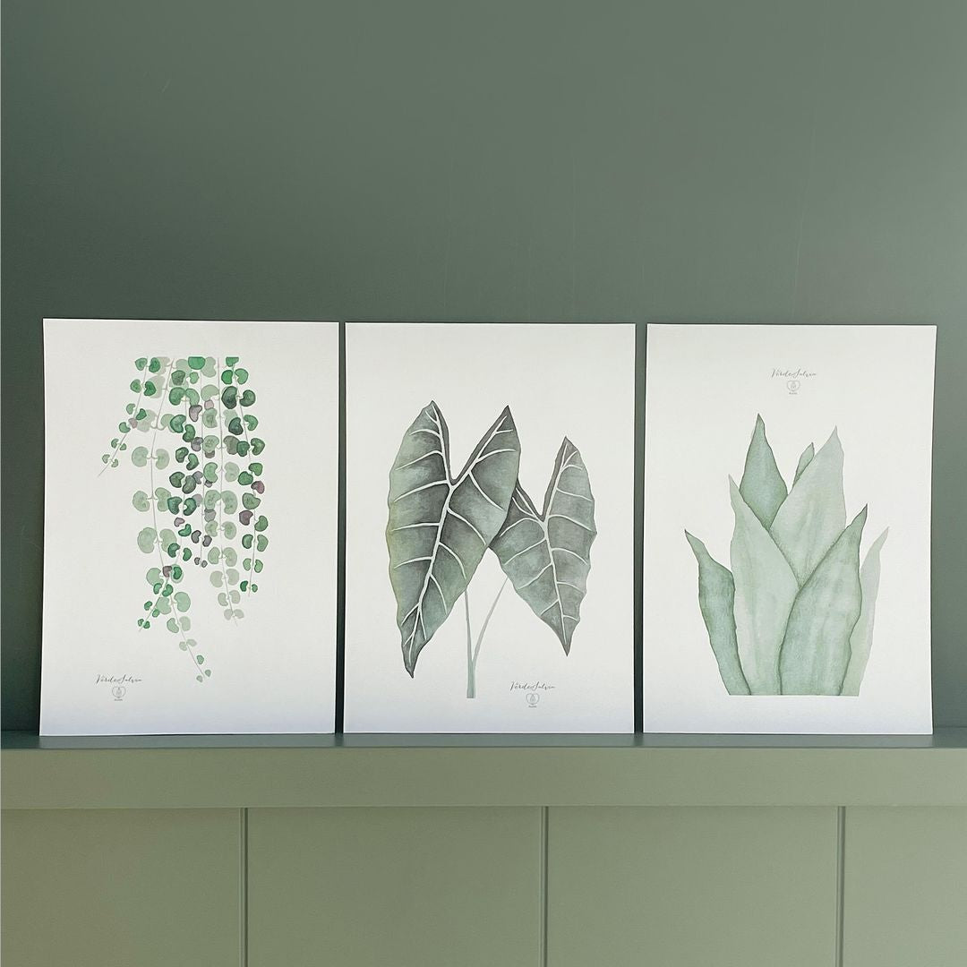 illustrazioni