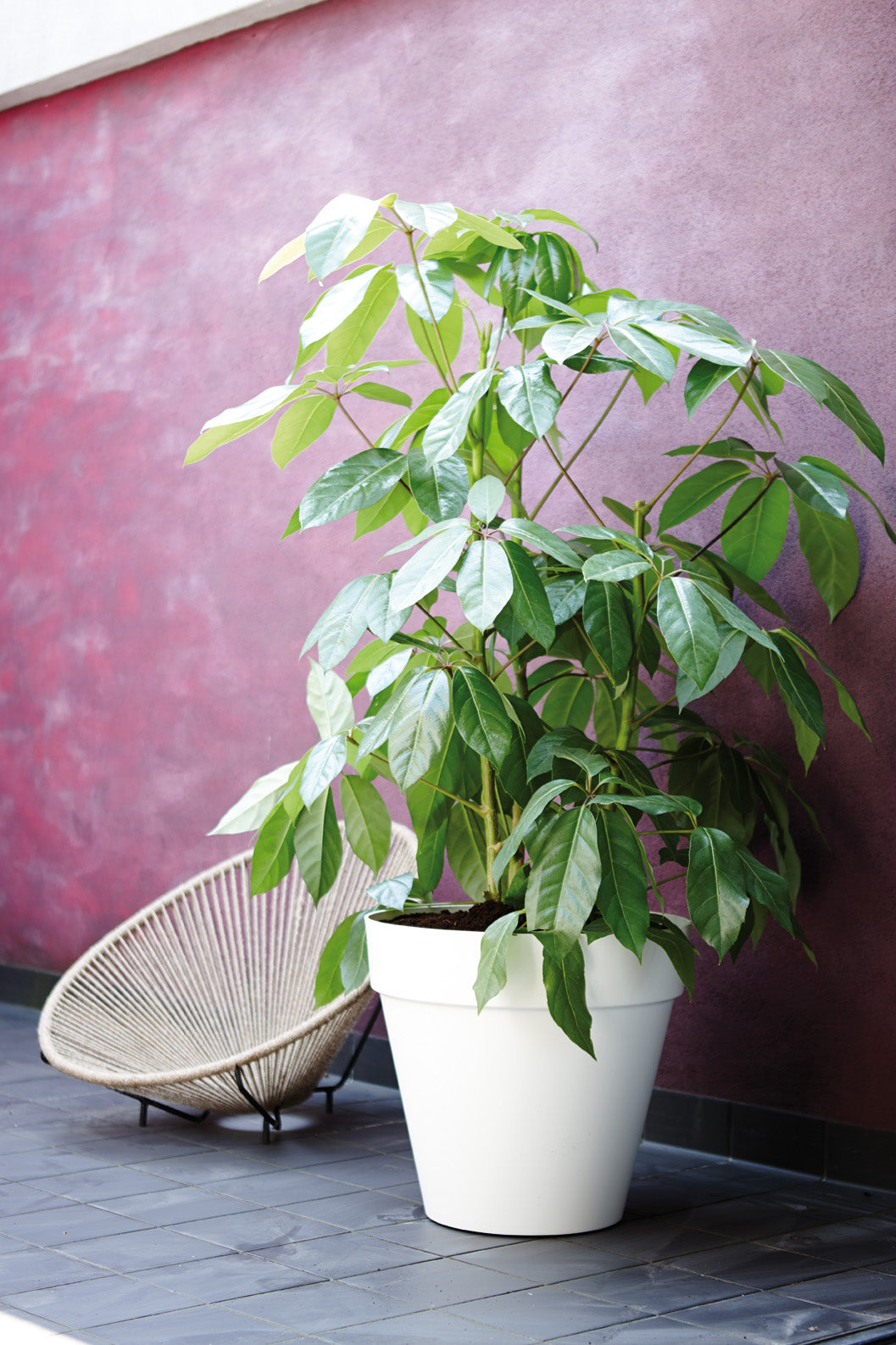 loft urban round wheels.i3