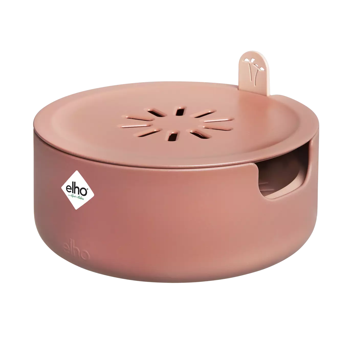 magic_microgreens_toffee_terra.p1