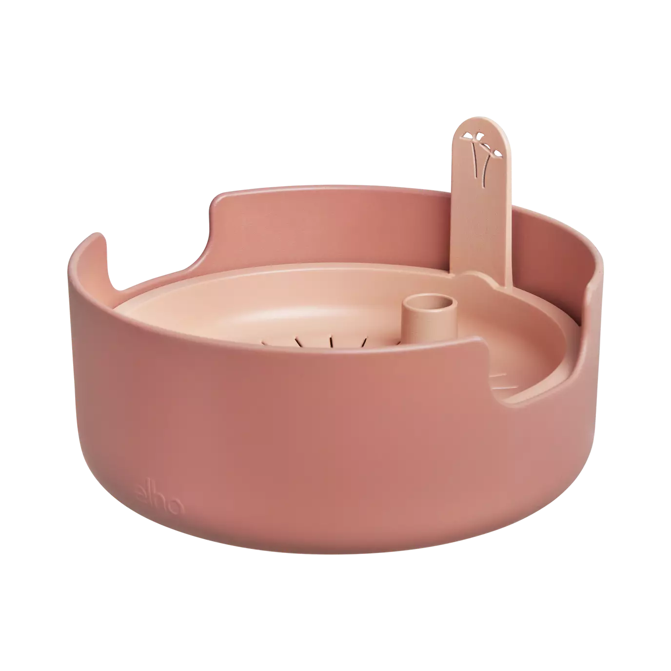 magic_microgreens_toffee_terra.s1