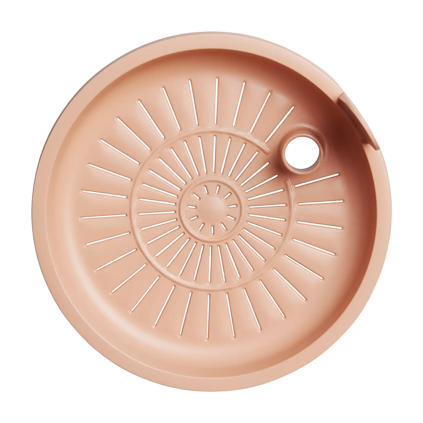 magic_microgreens_toffee_terra.u4