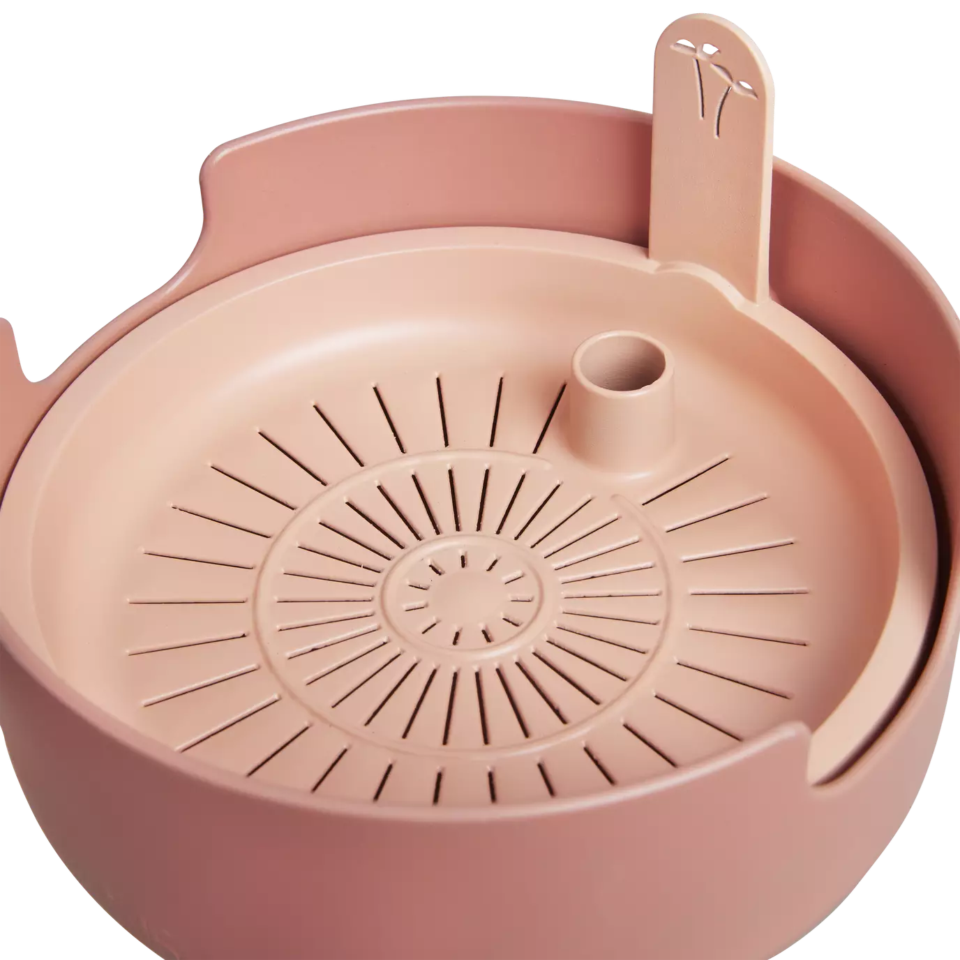 magic_microgreens_toffee_terra.u6