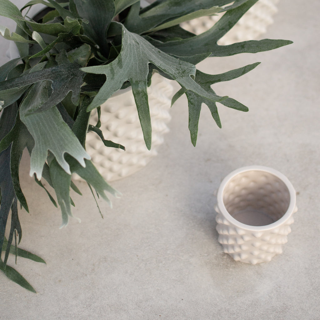 ss22_cloudy_greige_orangeri_square-6