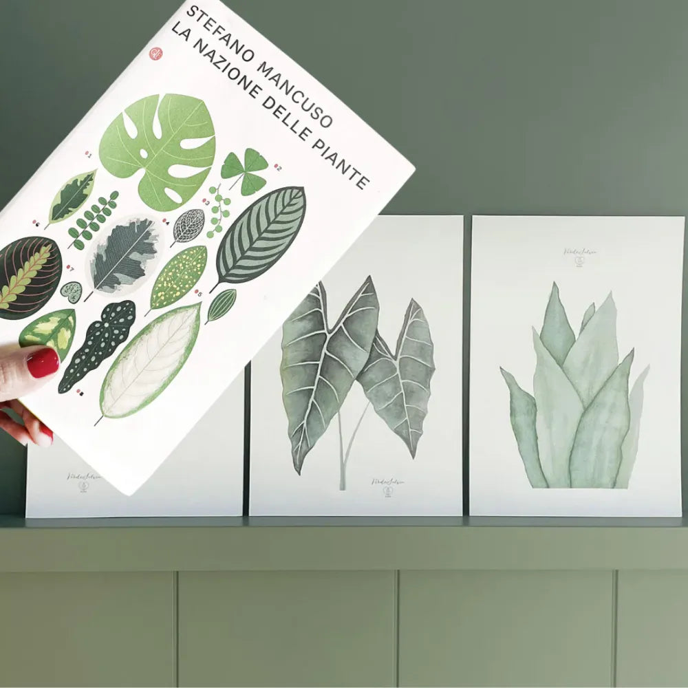 Acquerello botanico