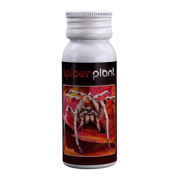 Acaricida /insetticida biologico