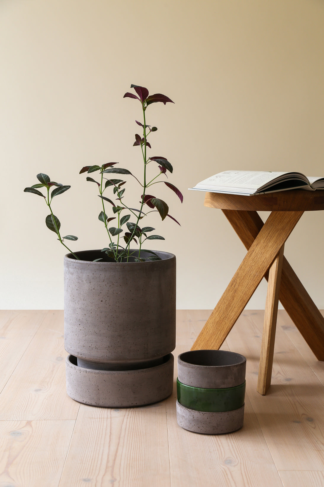 Vaso Hoff in terracotta grezza /grigio