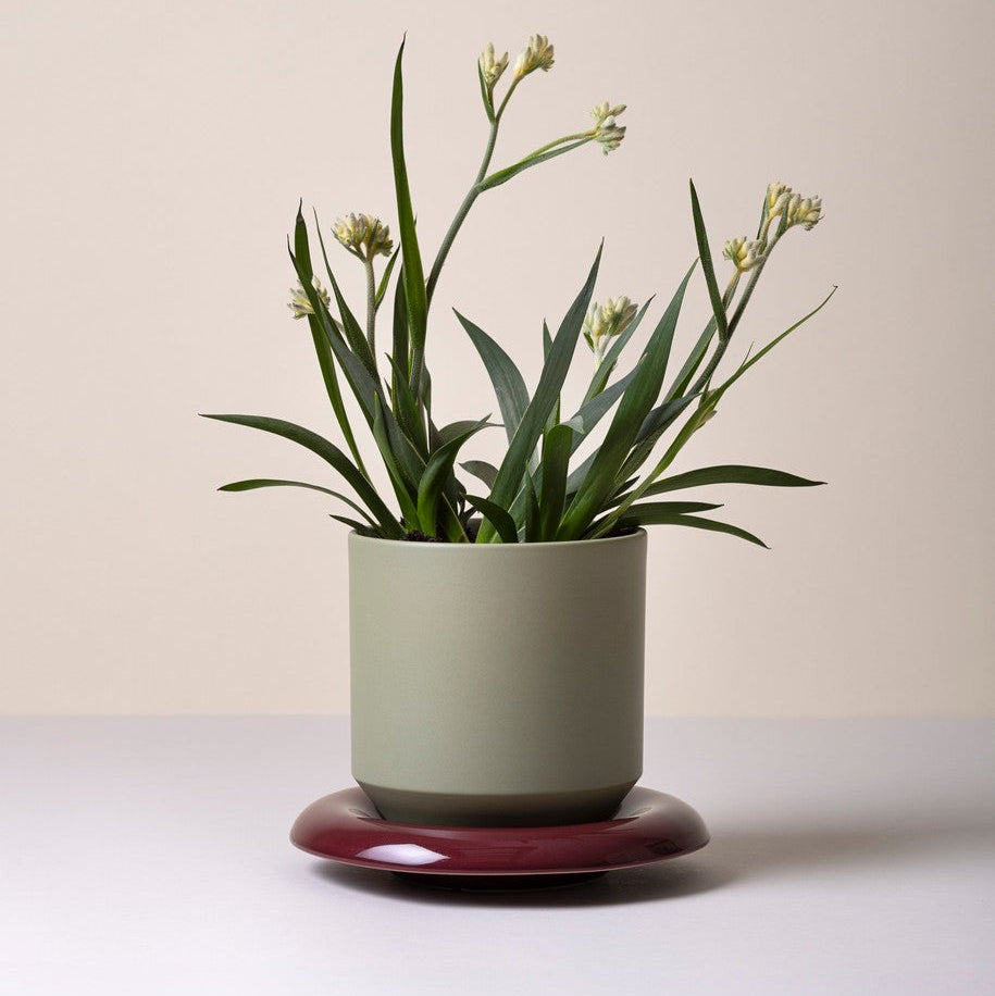 Vaso LILY /sage green