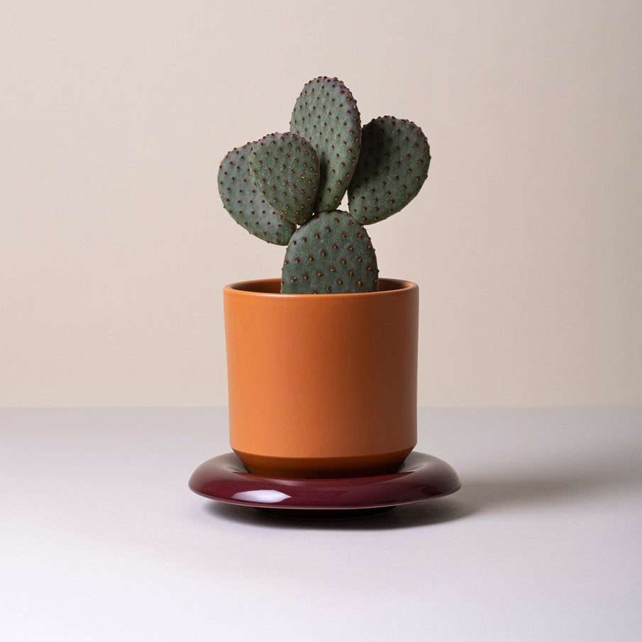 Sottovaso LILY /burgundy