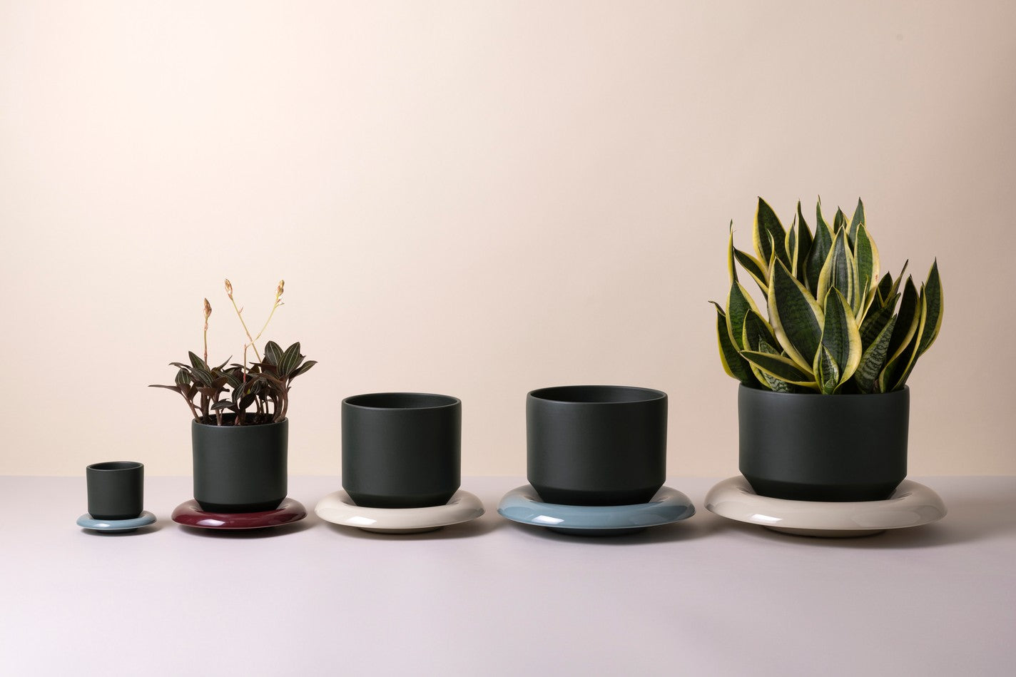 Vaso LILY /forest night