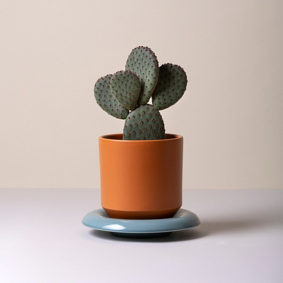 Vaso LILY /tagerine orange