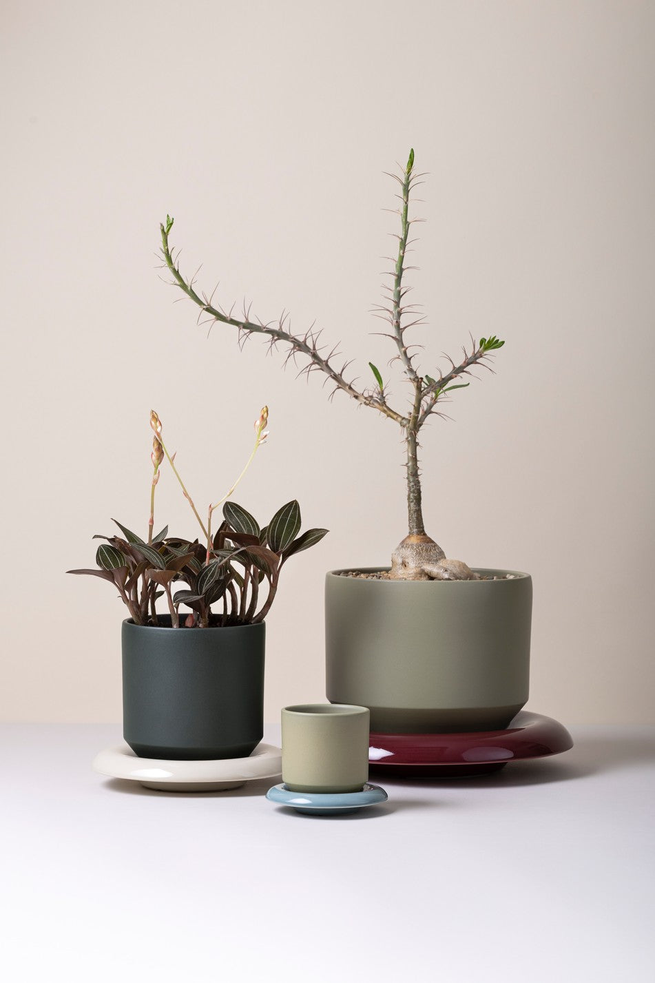 Vaso LILY /sage green