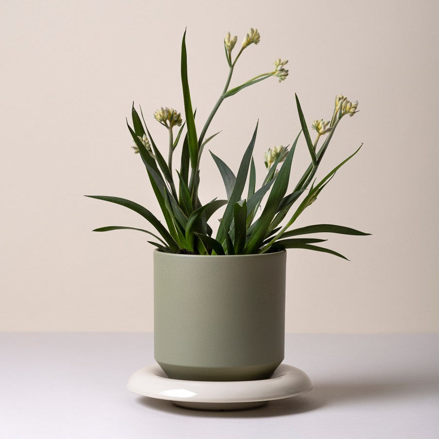 Sottovaso LILY /sandstone