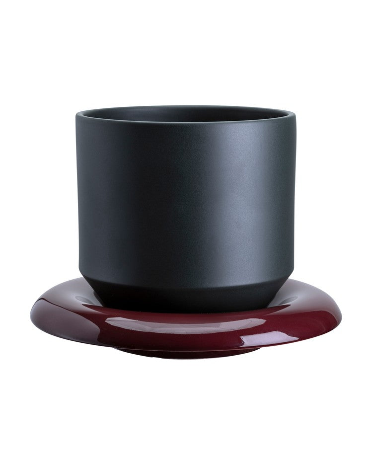 Vaso LILY /forest night