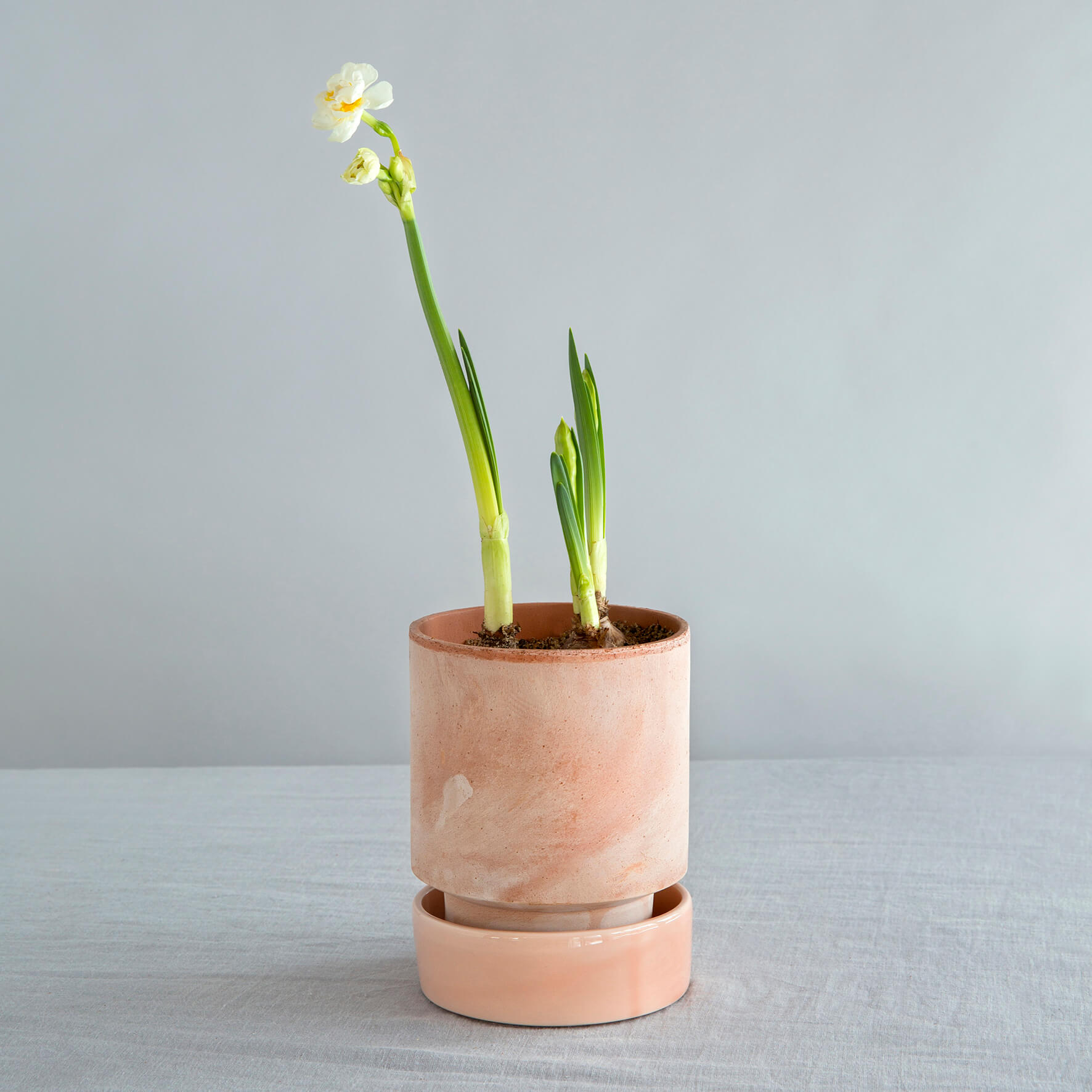 Sottovaso Hoff in terracotta smaltata /quartz rose