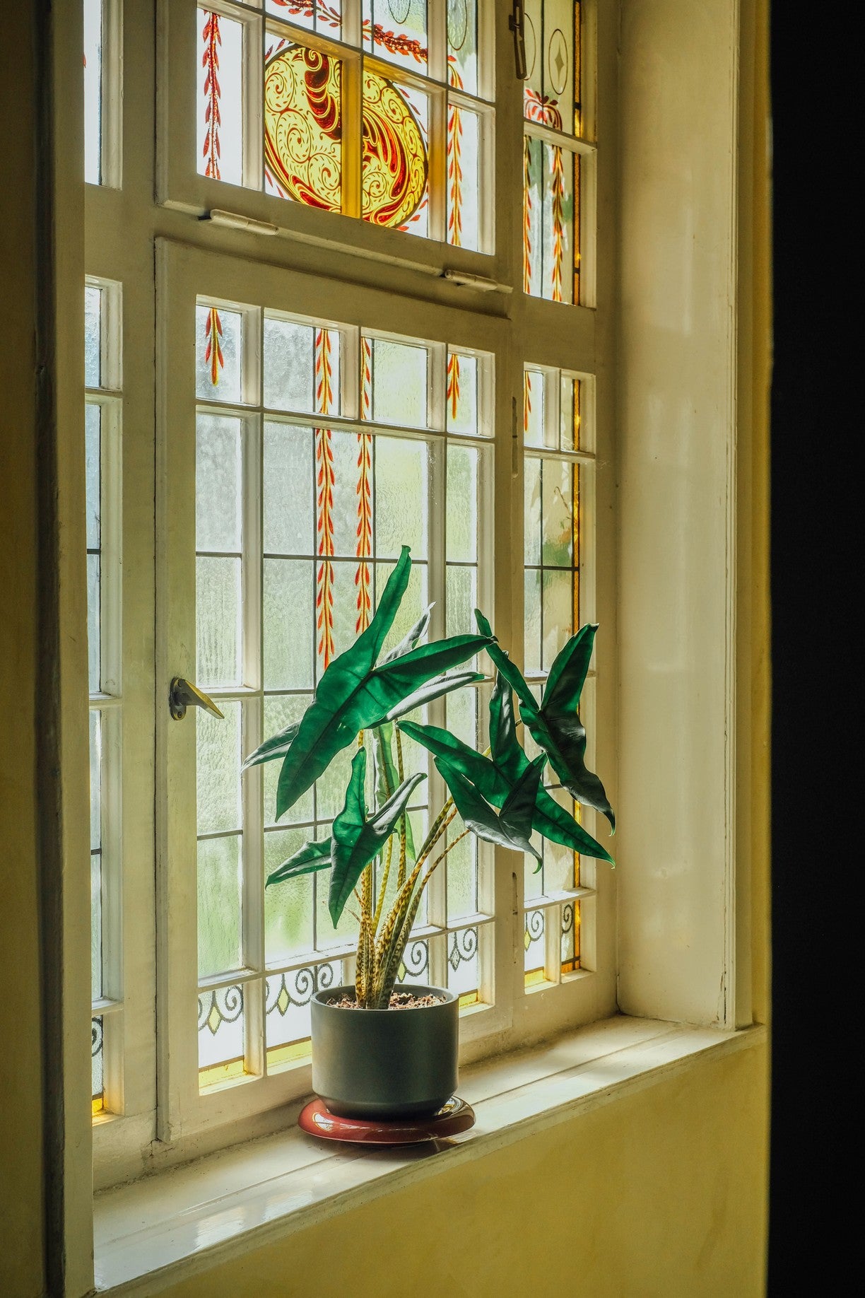 Vaso LILY /forest night