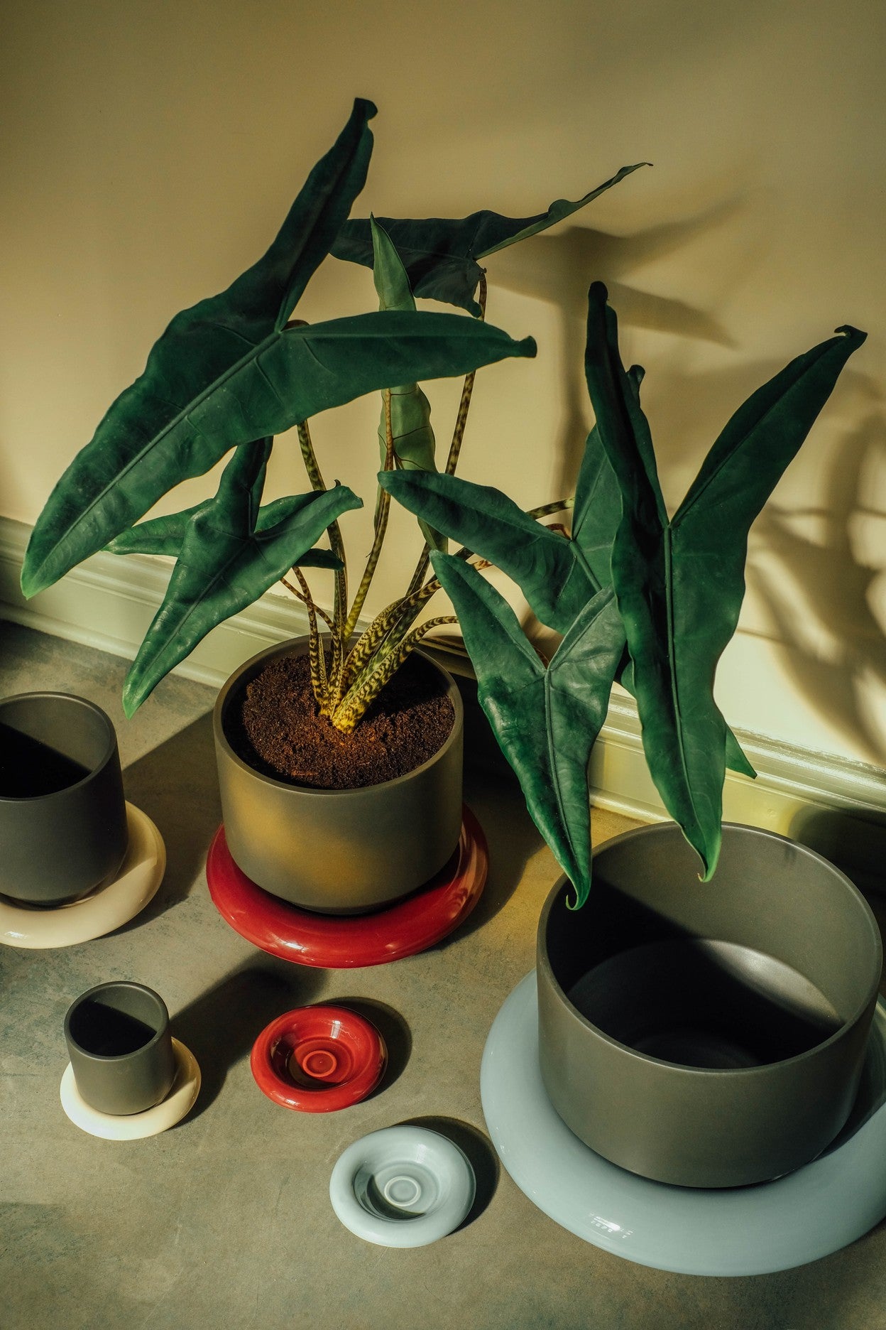 Sottovaso LILY /burgundy