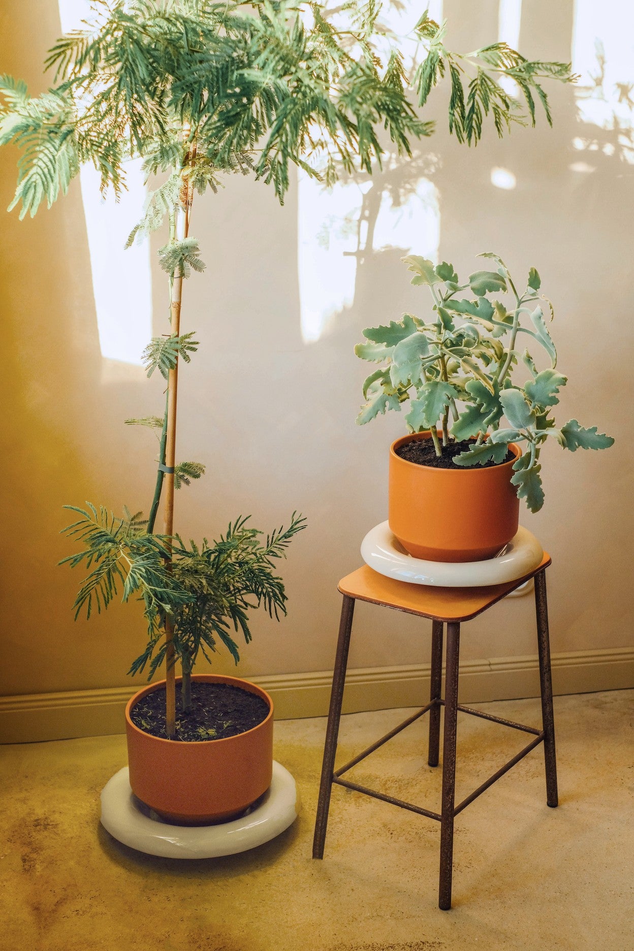 Vaso LILY /tagerine orange