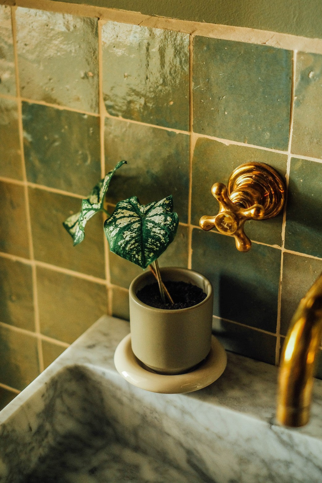 Vaso LILY /sage green