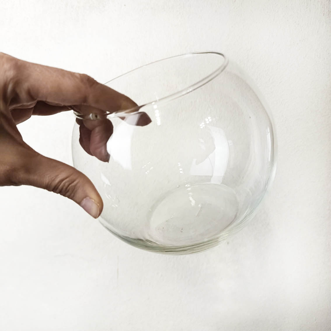 Bowl in vetro per Marimo