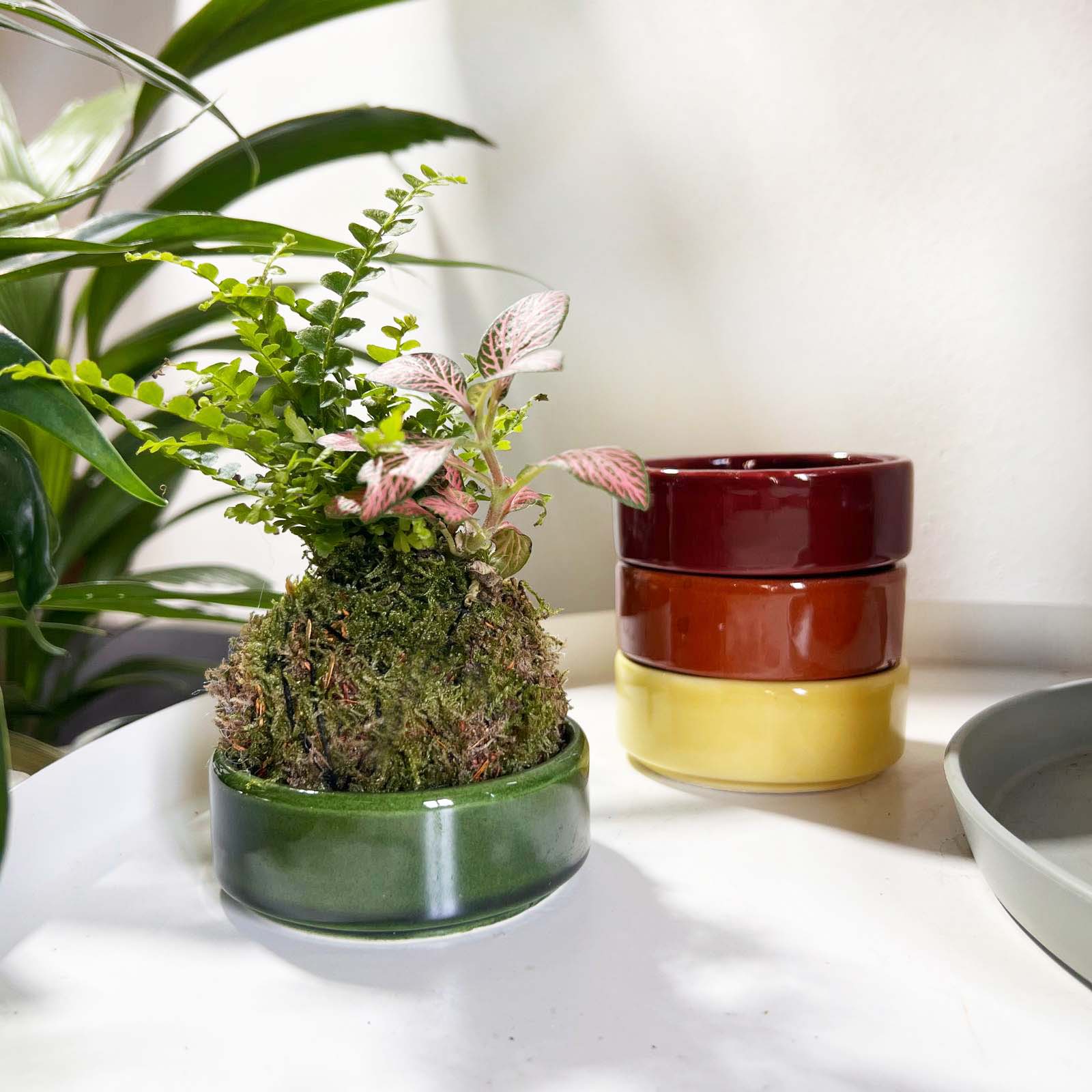 KOKET (KOKE-BOUQUET)-Olivia