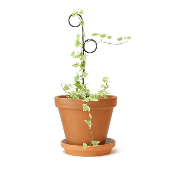 Mini supporto per piante rampicanti/Perch nero