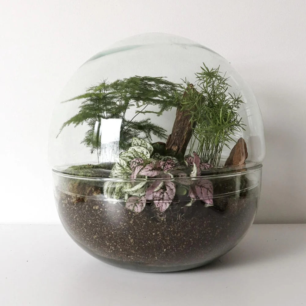 Contenitore in vetro per terrari /SFERA XL
