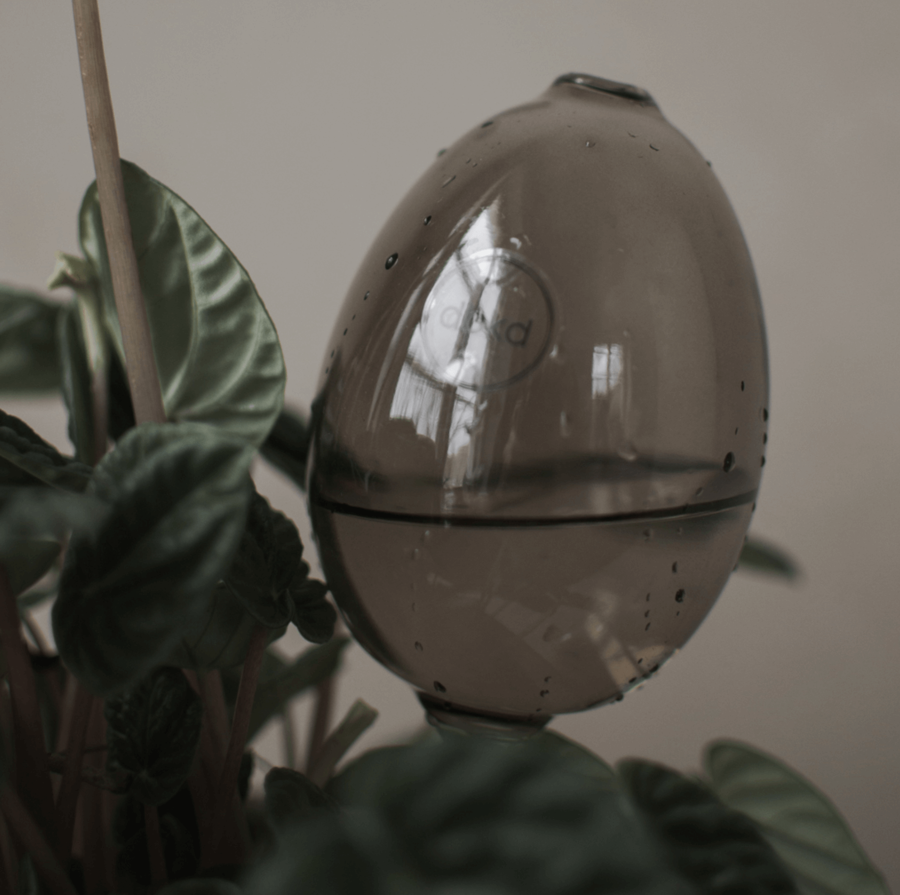 Waterbubble /brown