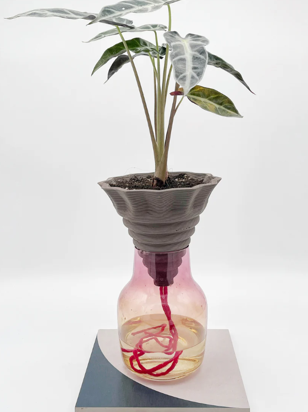 NOMADE /Vaso autoirrigante
