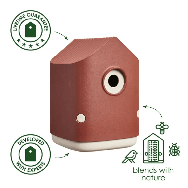 Casetta per uccellini /Cosy bird house