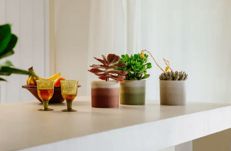 VASO COLOUR GRADIENT marrone cedro