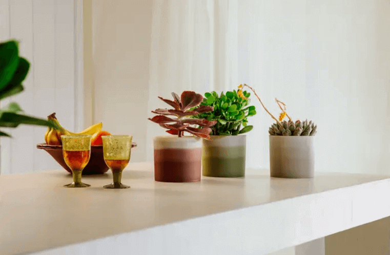 VASO COLOUR GRADIENT verde bamboo