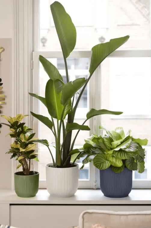 VIBES fold round /antracite