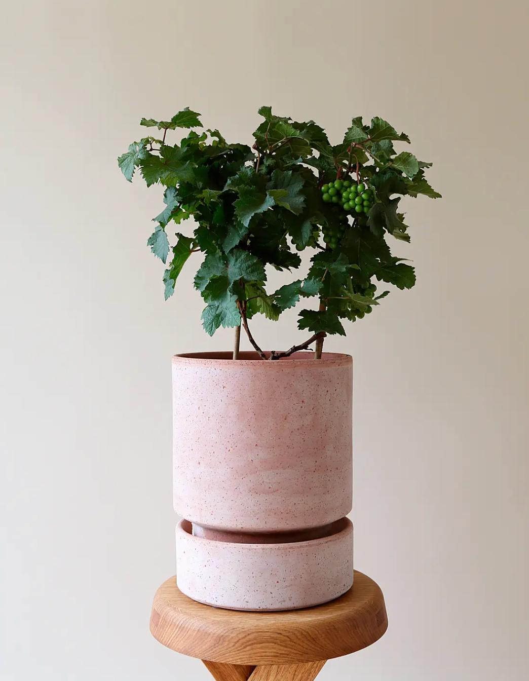 Vaso Hoff in terracotta grezza /rosa