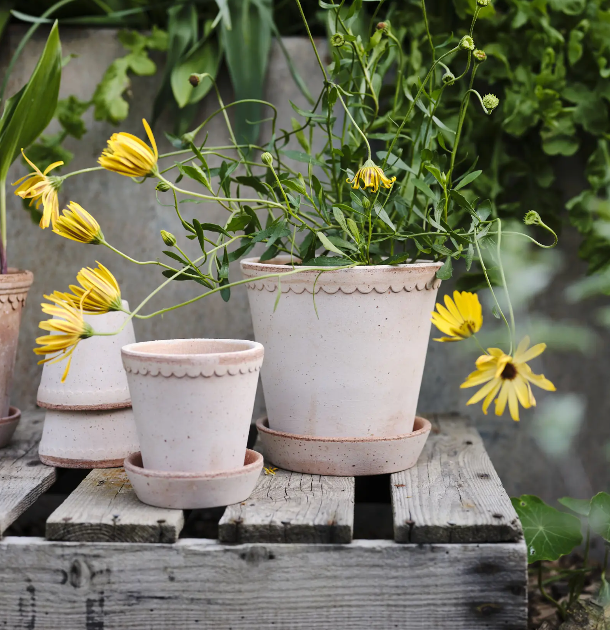 Vaso in terracotta Helena /rosa