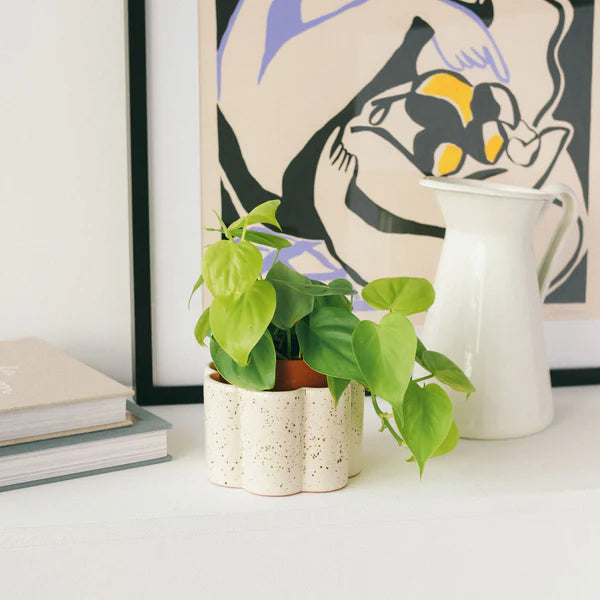 Vaso autoirrigante Paulita - Bianco granulato