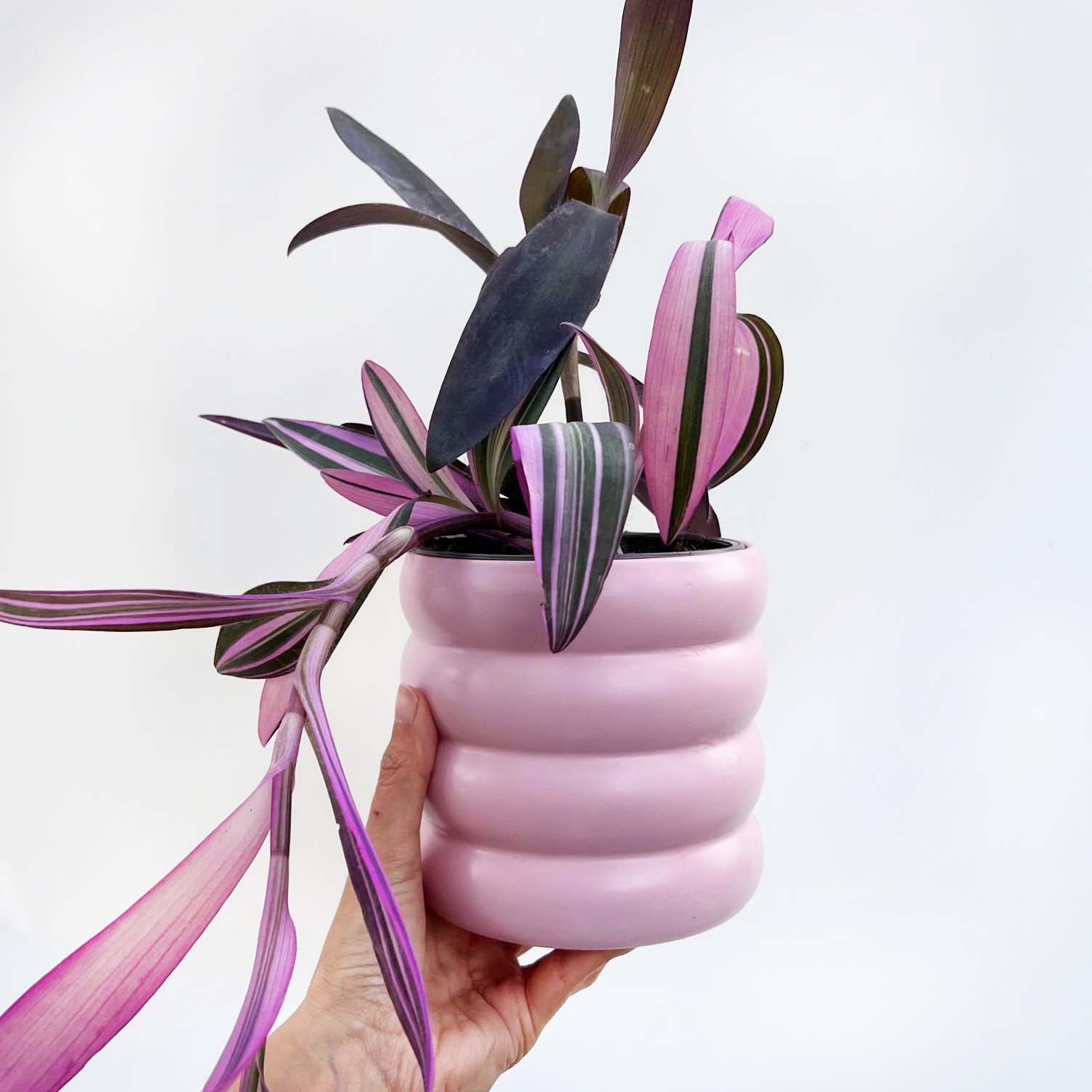 Vaso in ceramica /Milla