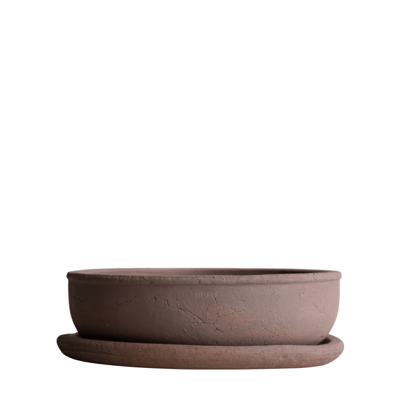 Vaso BOWL TERRA/brown