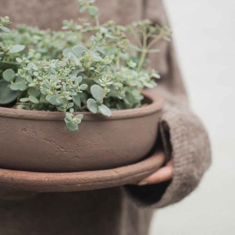 Vaso BOWL TERRA/brown