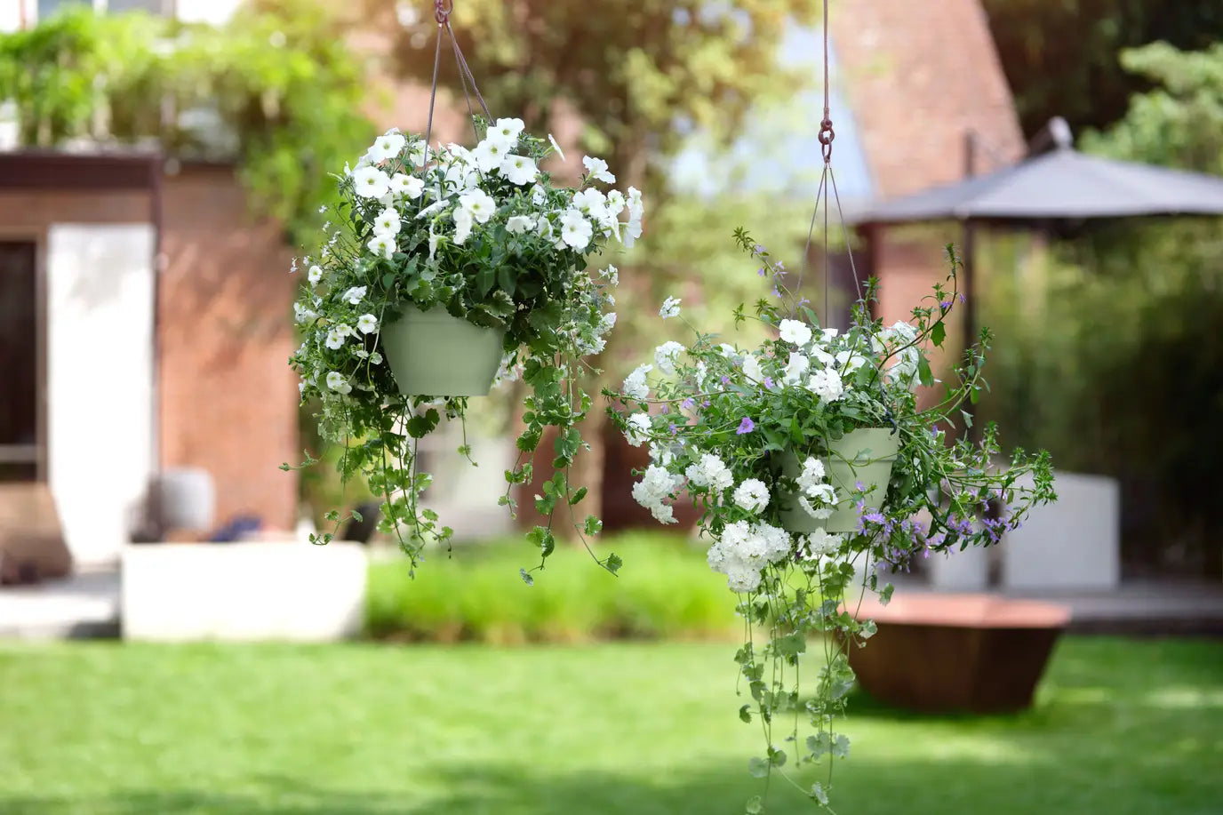 vibia campana hanging basket