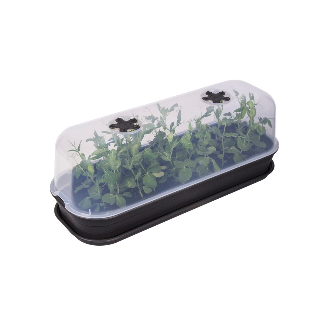 GrowpotGrowHouseL-1