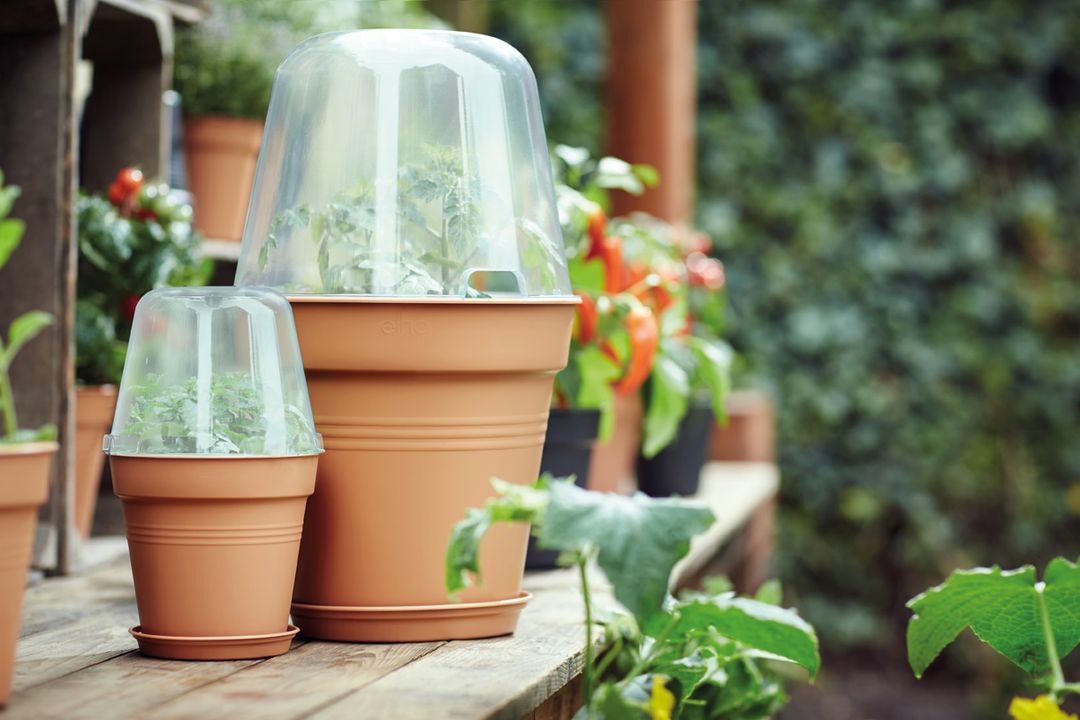 GrowpotTerra-4.jpg