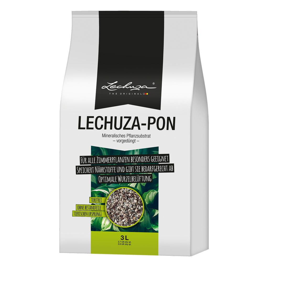 LechuzaPon-1