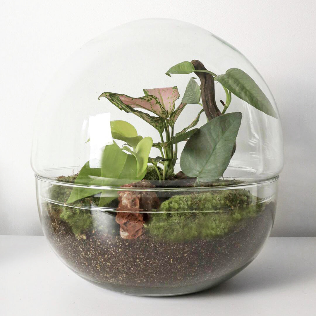 NewPianeta_terrarium_Filippine_1_sfera