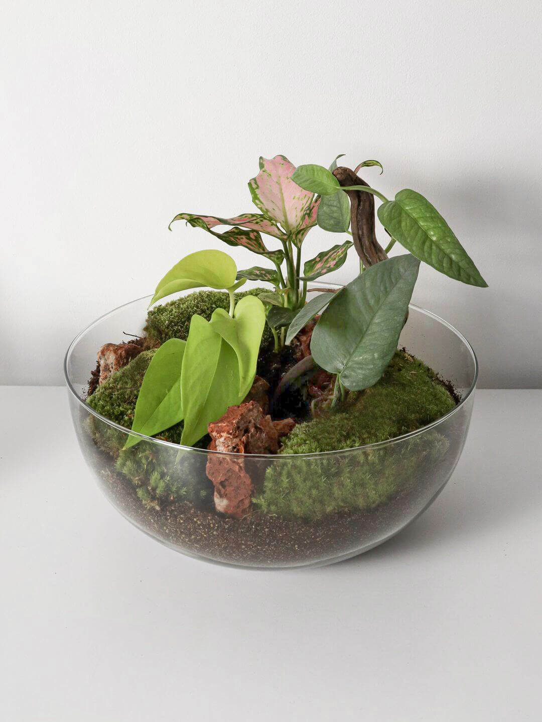 NewPianeta_terrarium_Filippine_3_sfera