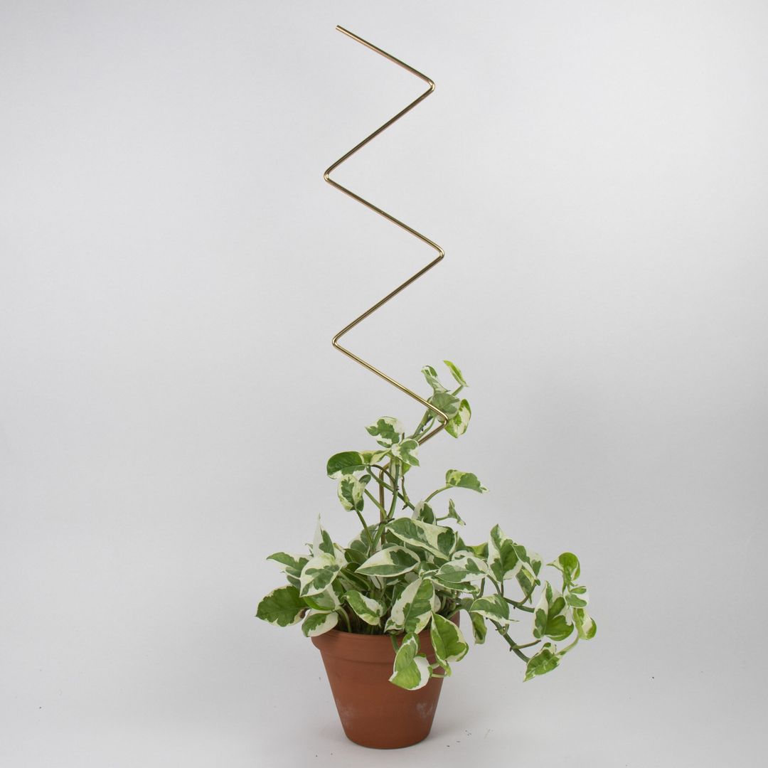 SupportoZigZag-1