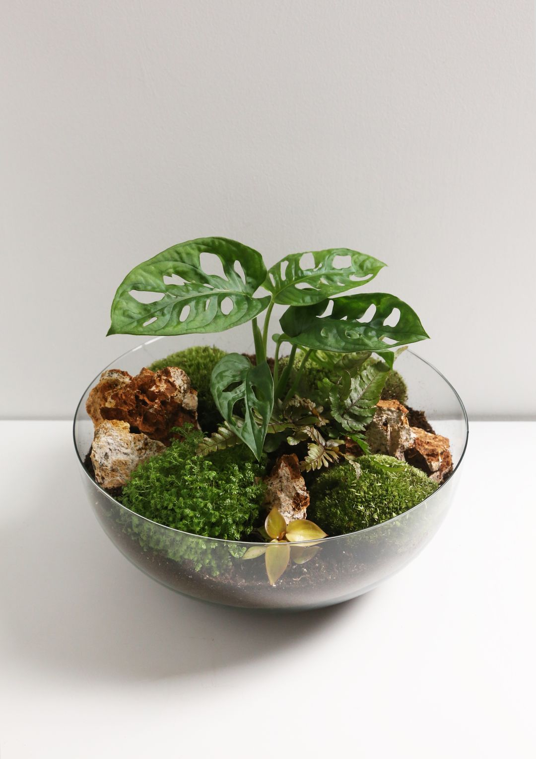 TerrarioSferaMessico-2